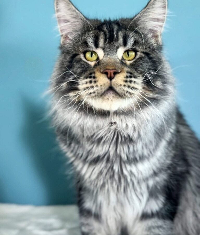 1884BD10-FCB7-49C2-A302-9E5F08922768